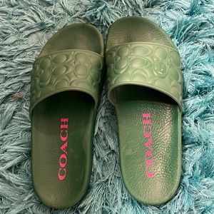 Wore these nice Coach slides only once and my cat scratched one slide inside